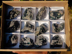 Natural Crystalline Libethenite Specimens on Dolomite Matrix x 12 From Shituru, Congo