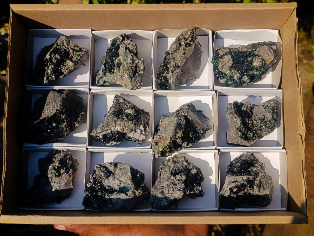 Natural Crystalline Libethenite Specimens on Dolomite Matrix x 12 From Shituru, Congo