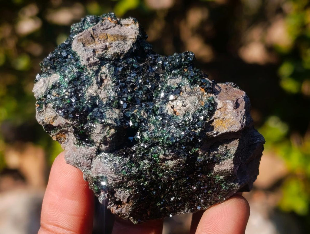 Natural Crystalline Libethenite Specimens on Dolomite Matrix x 12 From Shituru, Congo