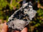 Natural Crystalline Libethenite Specimens on Dolomite Matrix x 12 From Shituru, Congo