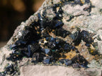 Natural Crystalline Libethenite Specimens on Dolomite Matrix x 12 From Shituru, Congo