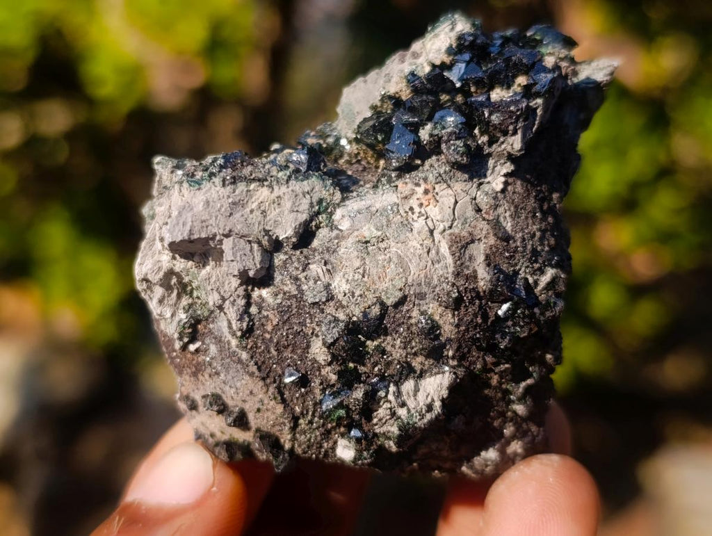 Natural Crystalline Libethenite Specimens on Dolomite Matrix x 12 From Shituru, Congo