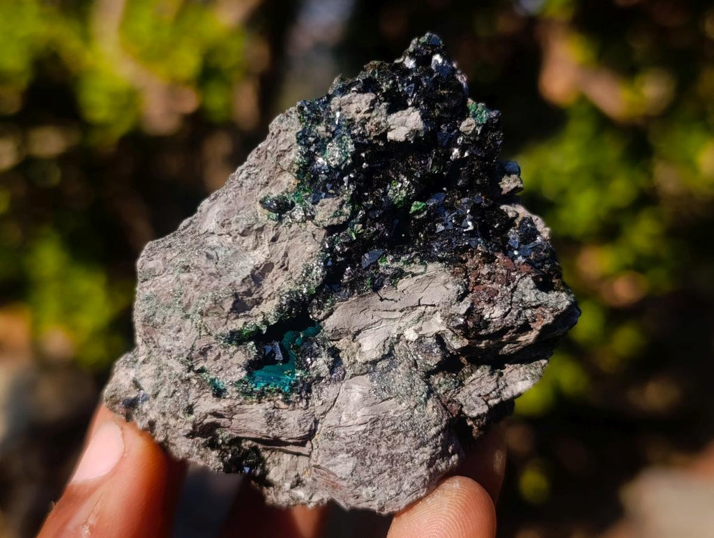 Natural Crystalline Libethenite Specimens on Dolomite Matrix x 12 From Shituru, Congo