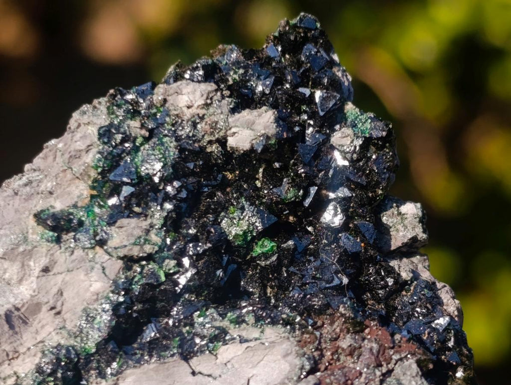 Natural Crystalline Libethenite Specimens on Dolomite Matrix x 12 From Shituru, Congo