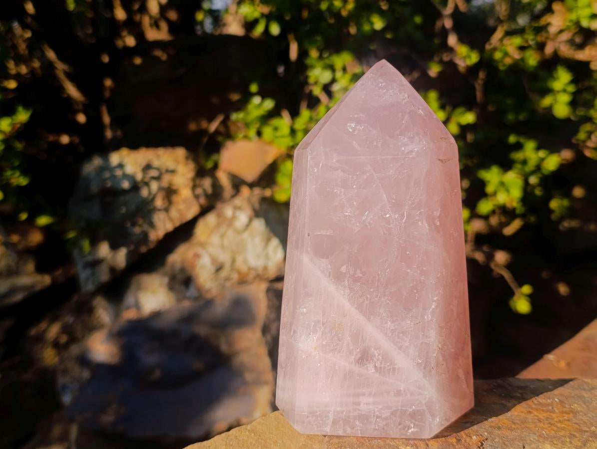 Polished Gemmy Rose Quartz Display Crystals x 2 From Madagascar