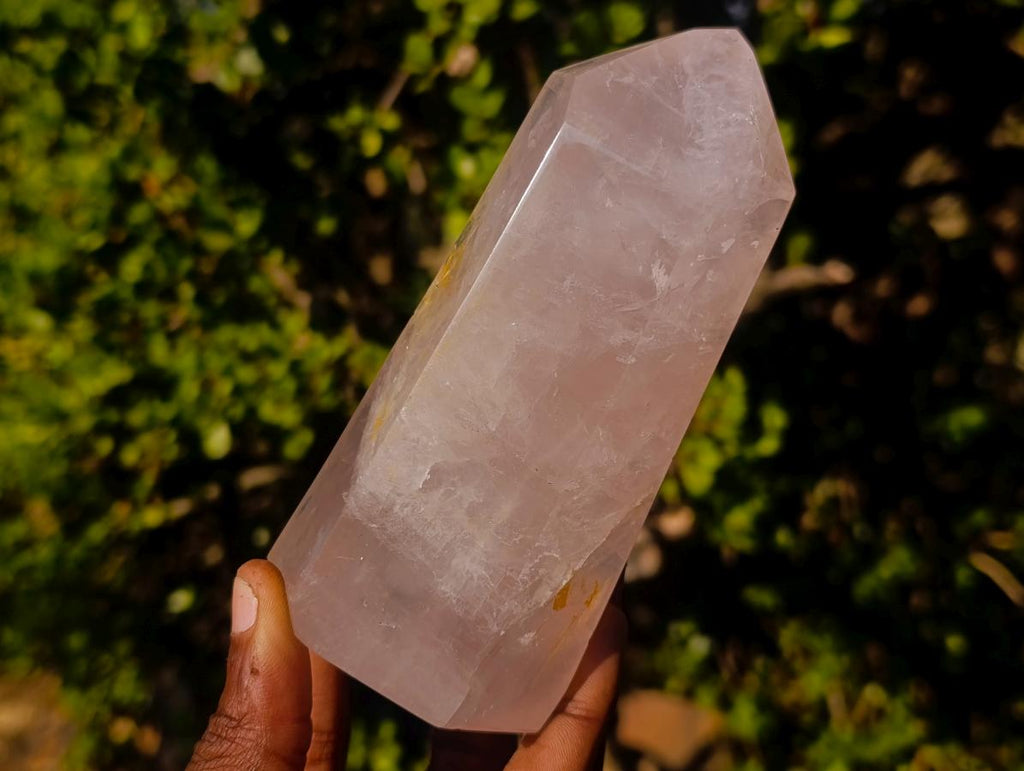 Polished Gemmy Rose Quartz Display Crystals x 2 From Madagascar