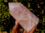 Polished Gemmy Rose Quartz Display Crystals x 2 From Madagascar