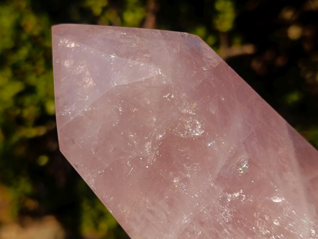 Polished Gemmy Rose Quartz Display Crystals x 2 From Madagascar