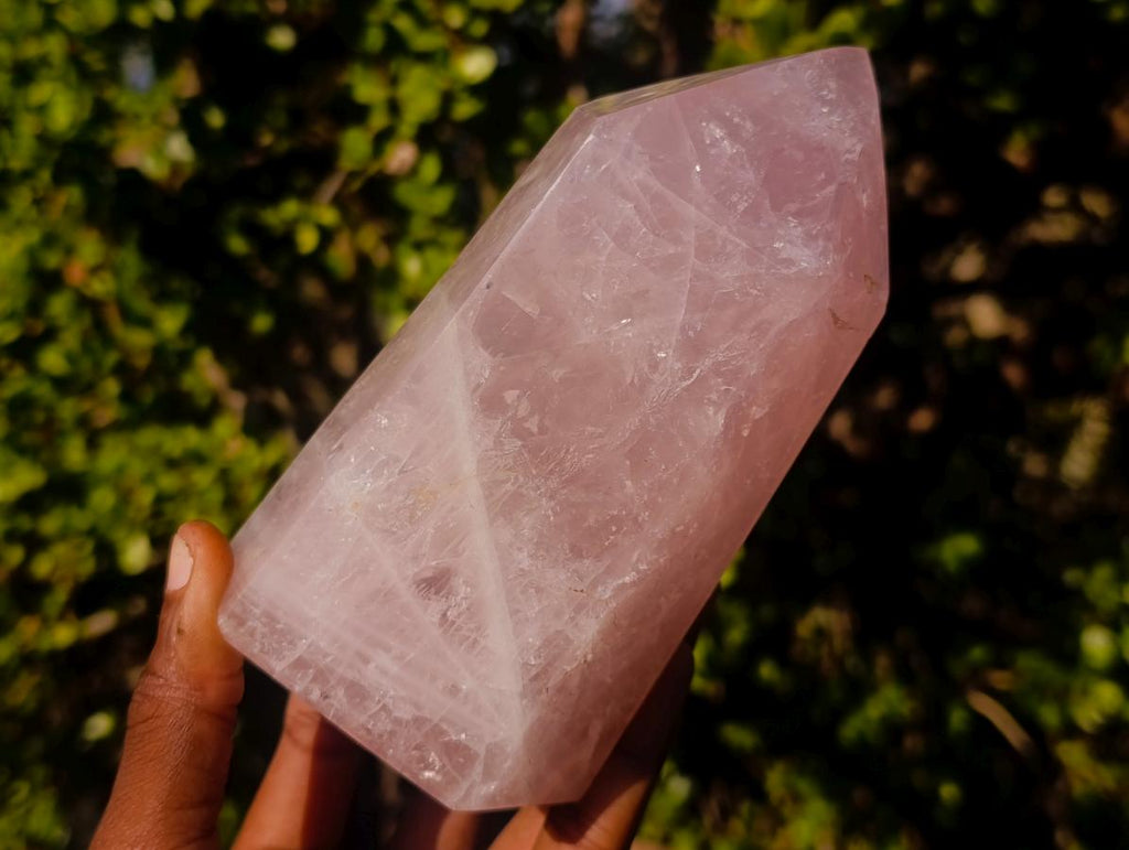 Polished Gemmy Rose Quartz Display Crystals x 2 From Madagascar