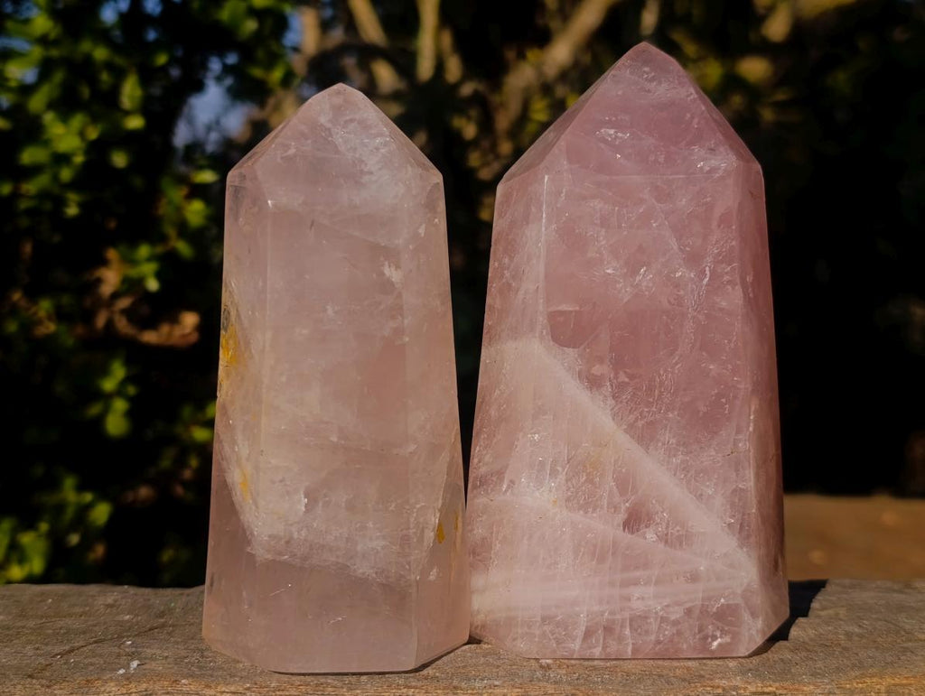 Polished Gemmy Rose Quartz Display Crystals x 2 From Madagascar