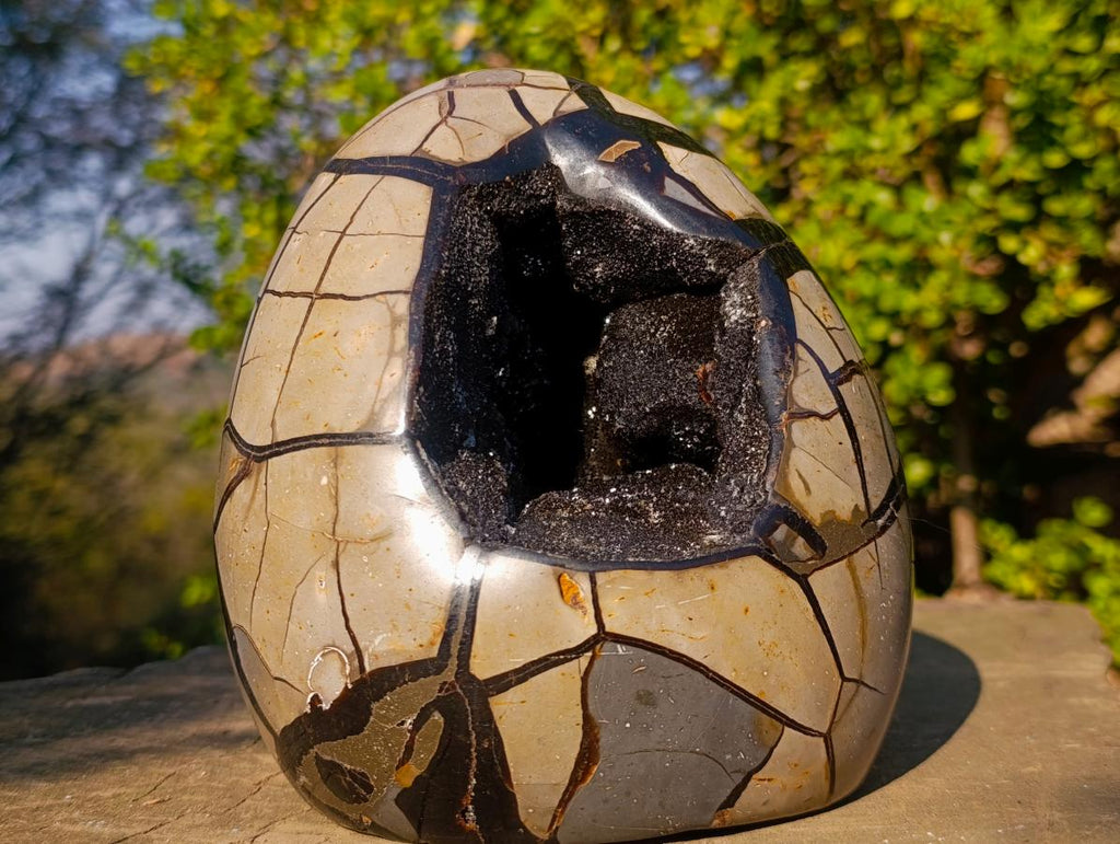 Polished and Natural Large Septerye Sauvage "Dragons Egg" Standing Display Piece x 1 From Mahajanga, Madagascar