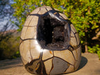 Polished and Natural Large Septerye Sauvage "Dragons Egg" Standing Display Piece x 1 From Mahajanga, Madagascar