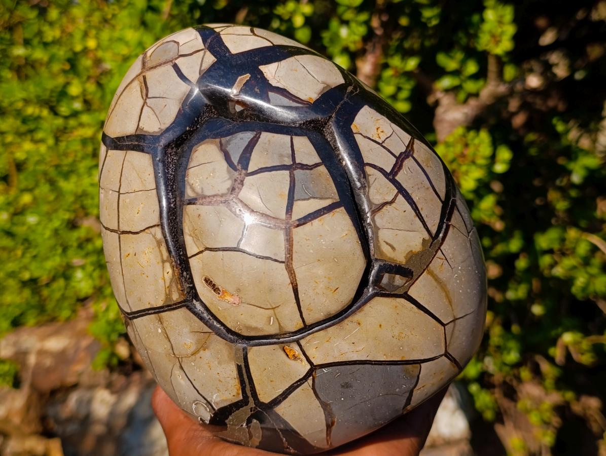 Polished and Natural Large Septerye Sauvage "Dragons Egg" Standing Display Piece x 1 From Mahajanga, Madagascar