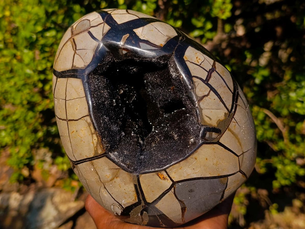 Polished and Natural Large Septerye Sauvage "Dragons Egg" Standing Display Piece x 1 From Mahajanga, Madagascar