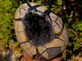 Polished and Natural Large Septerye Sauvage "Dragons Egg" Standing Display Piece x 1 From Mahajanga, Madagascar