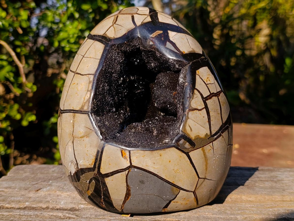 Polished and Natural Large Septerye Sauvage "Dragons Egg" Standing Display Piece x 1 From Mahajanga, Madagascar
