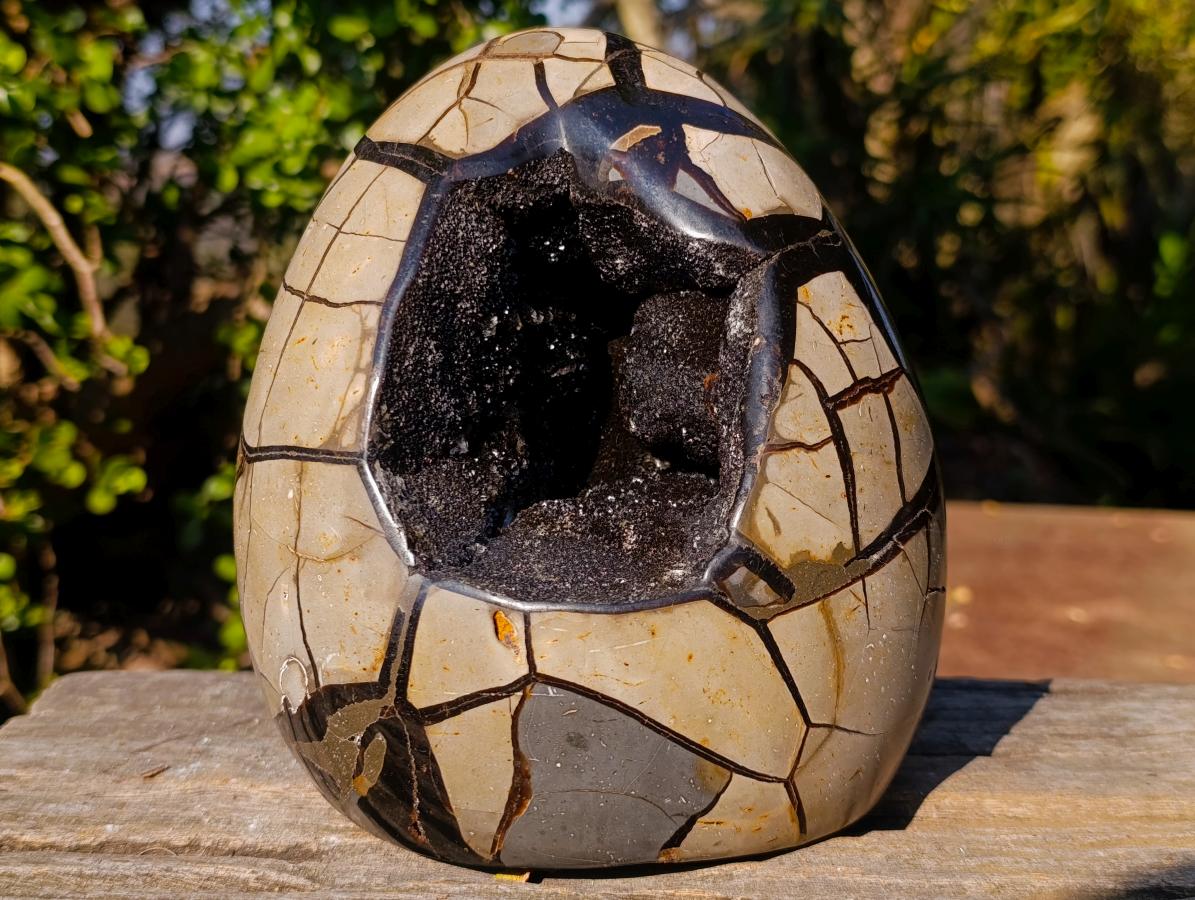 Polished and Natural Large Septerye Sauvage "Dragons Egg" Standing Display Piece x 1 From Mahajanga, Madagascar