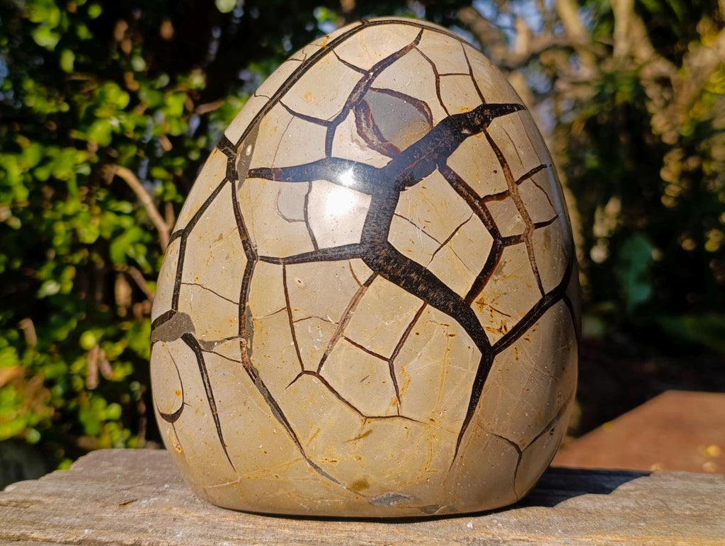 Polished and Natural Large Septerye Sauvage "Dragons Egg" Standing Display Piece x 1 From Mahajanga, Madagascar