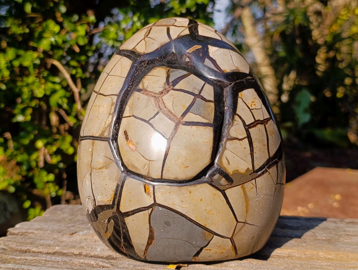 Polished and Natural Large Septerye Sauvage "Dragons Egg" Standing Display Piece x 1 From Mahajanga, Madagascar