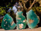 Polished on One Side Mtorolite Chrysoprase Slices x 35 From Mutorashanga, Zimbabwe