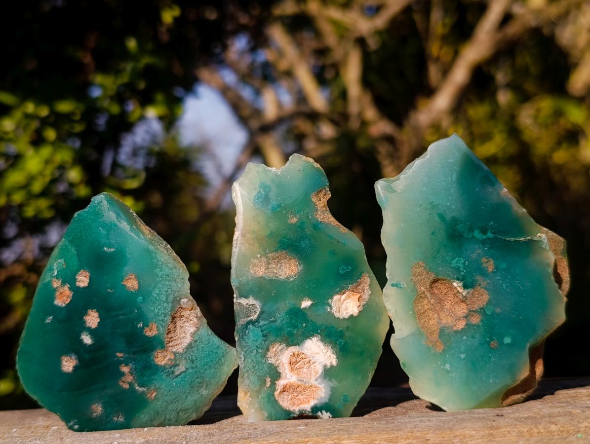 Polished on One Side Mtorolite Chrysoprase Slices x 35 From Mutorashanga, Zimbabwe