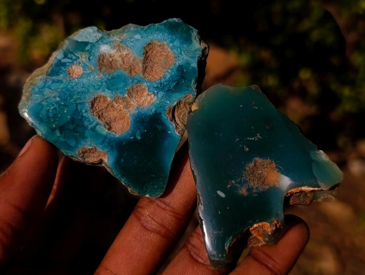 Polished on One Side Mtorolite Chrysoprase Slices x 35 From Mutorashanga, Zimbabwe