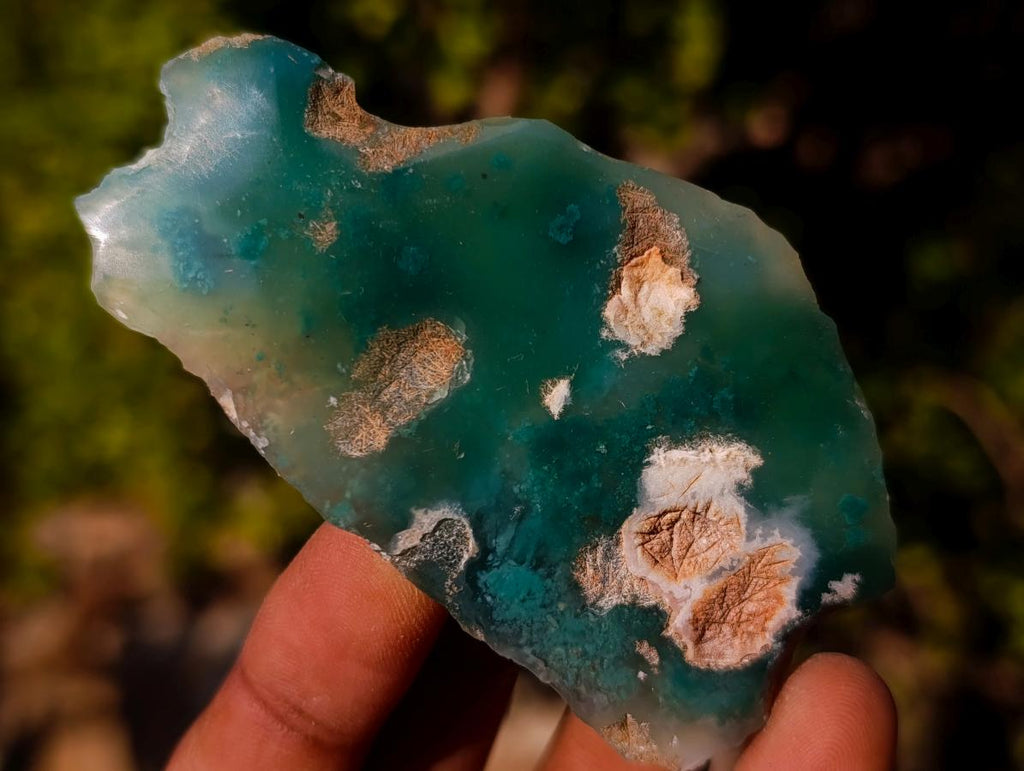 Polished on One Side Mtorolite Chrysoprase Slices x 35 From Mutorashanga, Zimbabwe