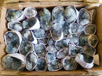 Natural Blue Celestite Specimens x 36 From Sakoany, Madagascar