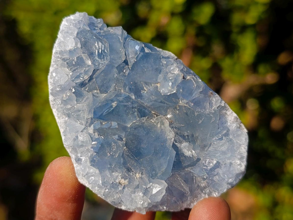Natural Blue Celestite Specimens x 36 From Sakoany, Madagascar