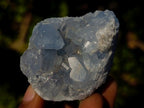 Natural Blue Celestite Specimens x 36 From Sakoany, Madagascar