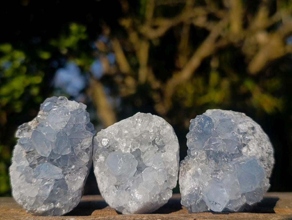 Natural Blue Celestite Specimens x 36 From Sakoany, Madagascar