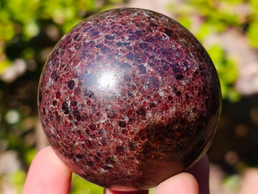 Polished Garnet Pyrope Spheres x 2 From Mahajanga, Madagascar