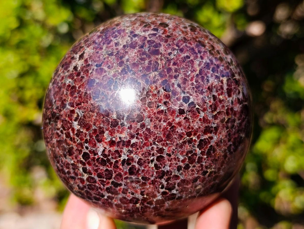 Polished Garnet Pyrope Spheres x 2 From Mahajanga, Madagascar