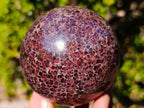 Polished Garnet Pyrope Spheres x 2 From Mahajanga, Madagascar