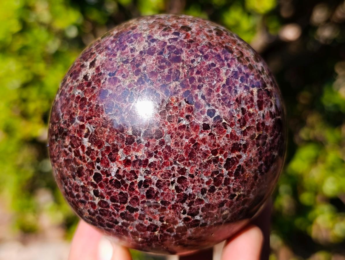 Polished Garnet Pyrope Spheres x 2 From Mahajanga, Madagascar