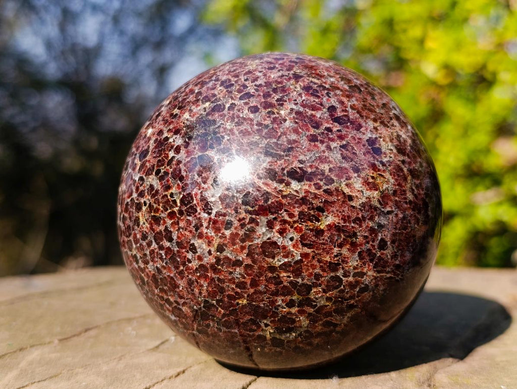 Polished Garnet Pyrope Spheres x 2 From Mahajanga, Madagascar