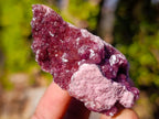 Natural Spherocobaltite Specimens x 12 From Musonoi Mine, Congo