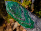Polished Buddstone Display Crystals x 3 From Swaziland