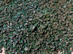 Natural Silky Ball Malachite Specimens with Quartz on Dolomite x 2 From Mindingi Mine, Congo