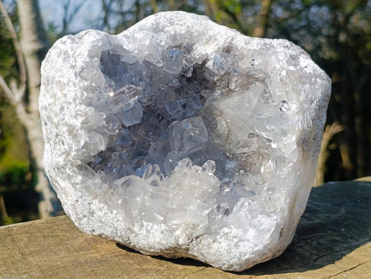 Natural Large Blue Celestite Geode Specimen x 1 From Sakoany, Madagascar