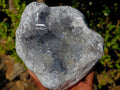 Natural Large Blue Celestite Geode Specimen x 1 From Sakoany, Madagascar