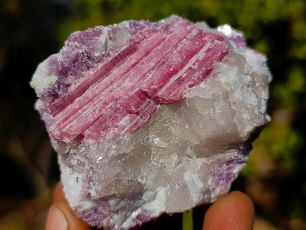Natural Pink Rubellite Tourmaline Specimens x 12 From Karibib, Namibia