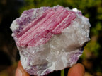 Natural Pink Rubellite Tourmaline Specimens x 12 From Karibib, Namibia