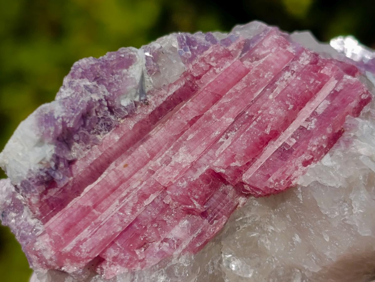 Natural Pink Rubellite Tourmaline Specimens x 12 From Karibib, Namibia