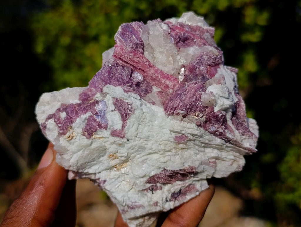 Natural Pink Rubellite Tourmaline Specimens x 12 From Karibib, Namibia