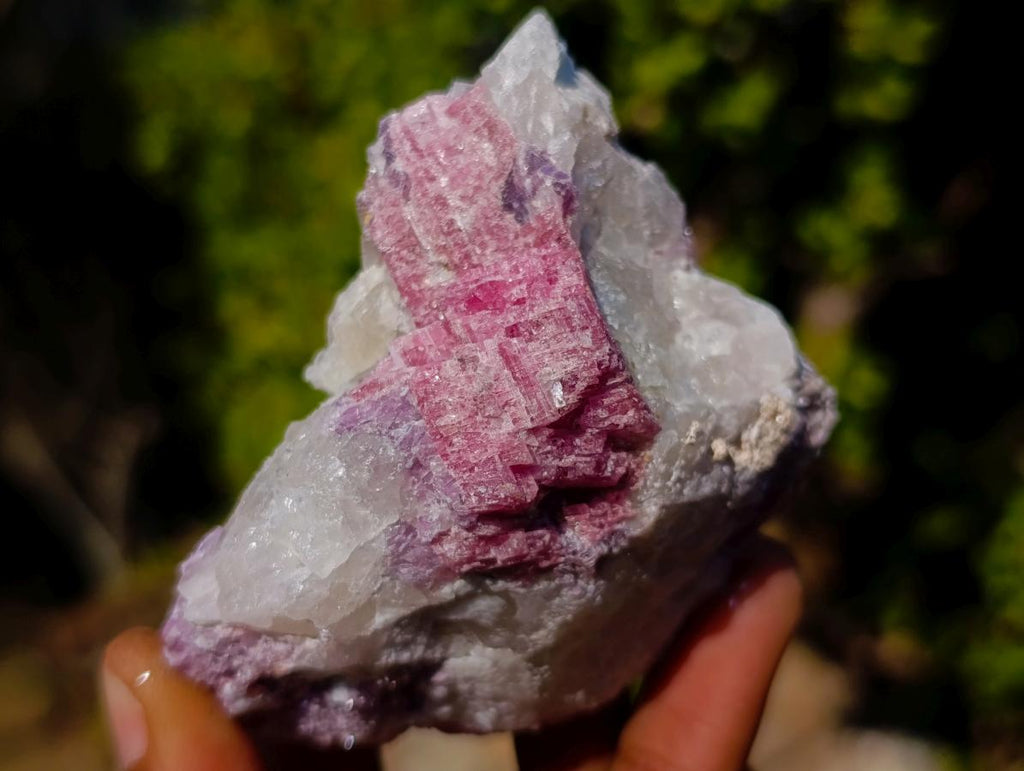 Natural Pink Rubellite Tourmaline Specimens x 12 From Karibib, Namibia