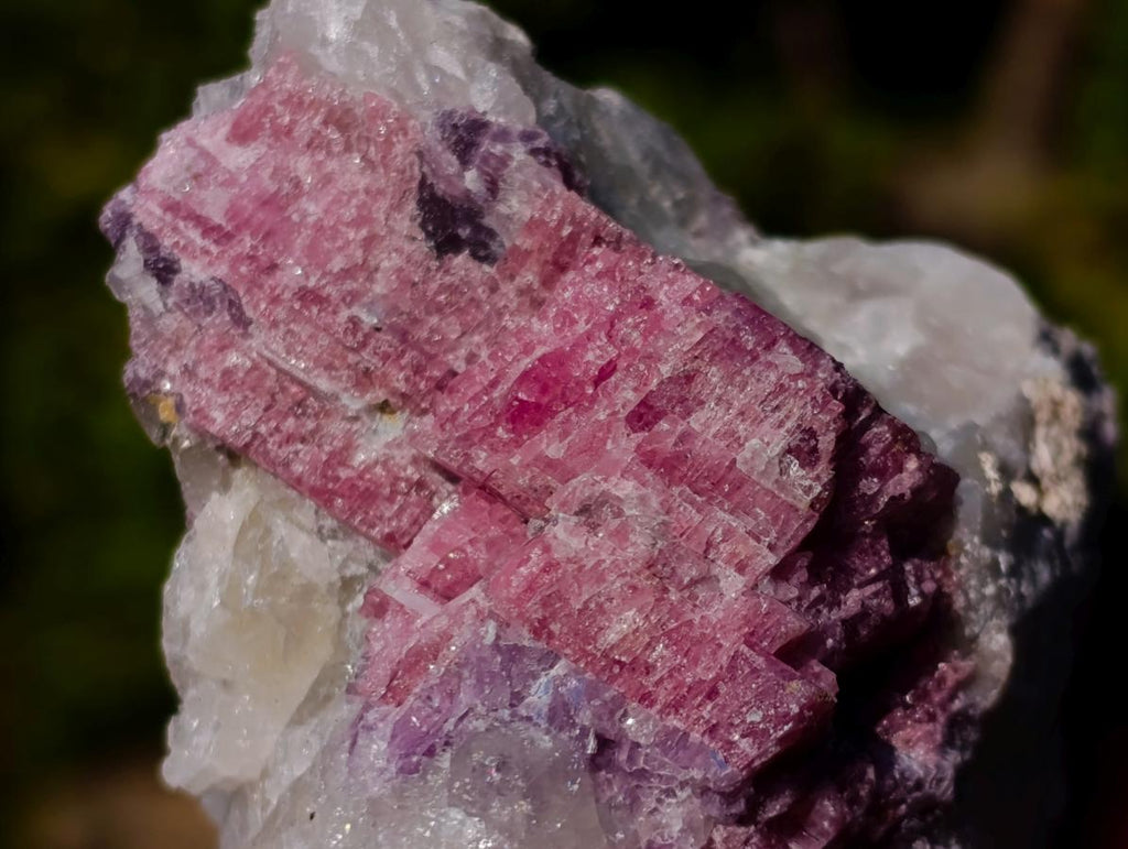 Natural Pink Rubellite Tourmaline Specimens x 12 From Karibib, Namibia