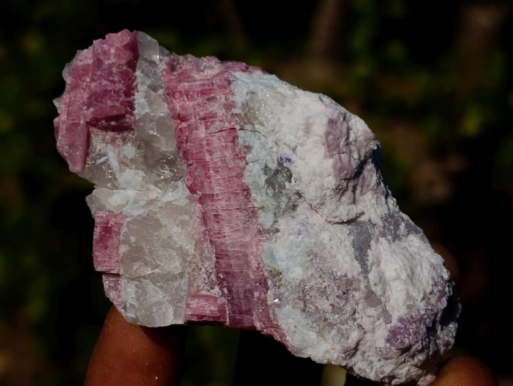 Natural Pink Rubellite Tourmaline Specimens x 12 From Karibib, Namibia