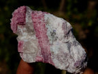 Natural Pink Rubellite Tourmaline Specimens x 12 From Karibib, Namibia