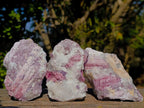 Natural Pink Rubellite Tourmaline Specimens x 12 From Karibib, Namibia